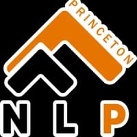 Princeton NLP group