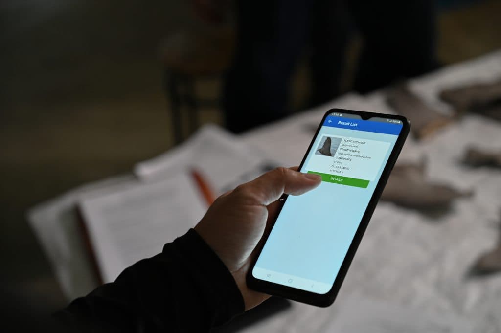 Image de l'article