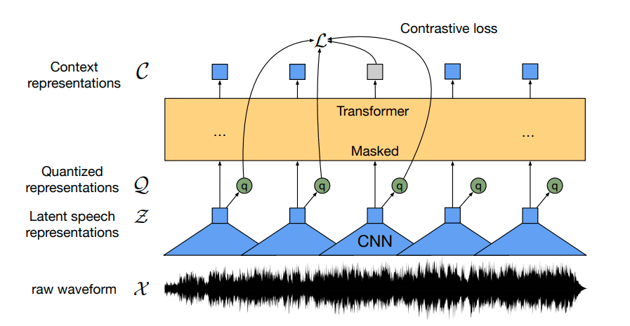 wav2vec2\_structure