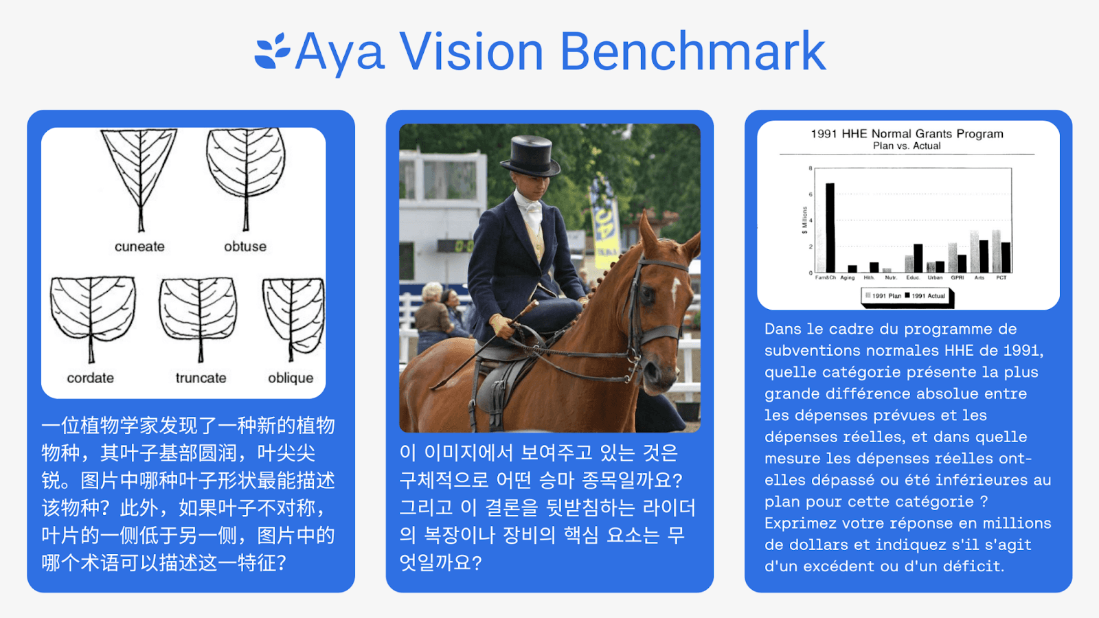 aya vision benchmark